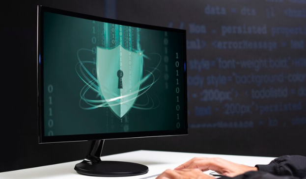 Website security DCX protection