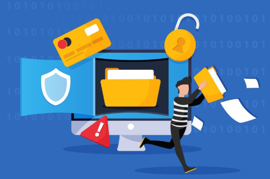 E-commerce Security and Fraud Protection DCX